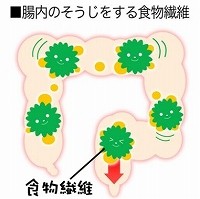 1-syokumotuseni